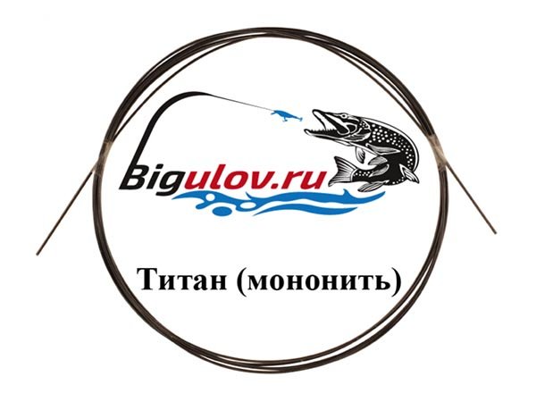 Поводковый материал титан Bigulov 0.3 мм (5 м)